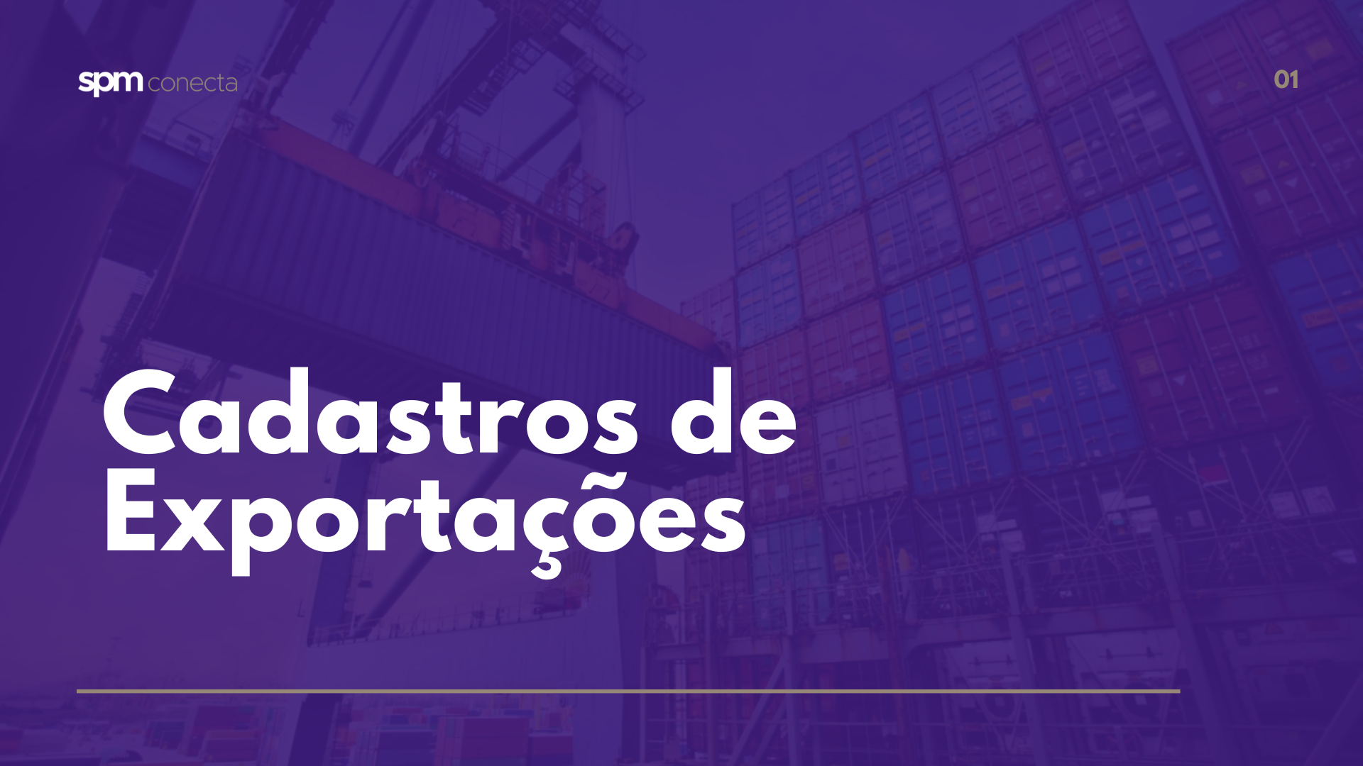 Cadastros de Exportações