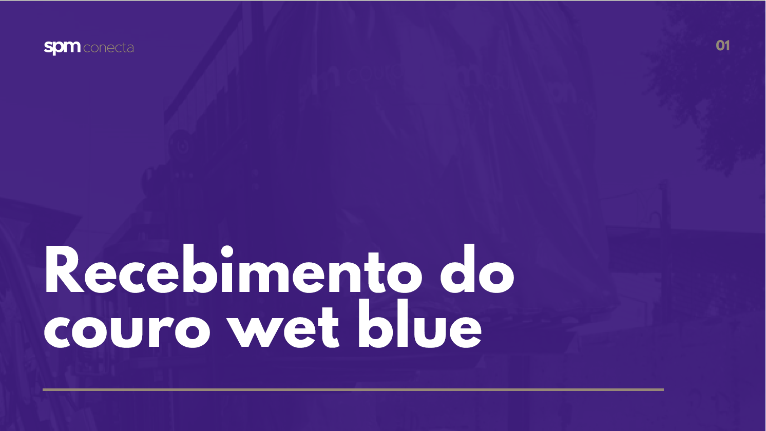 Recebimento do Couro Wet Blue