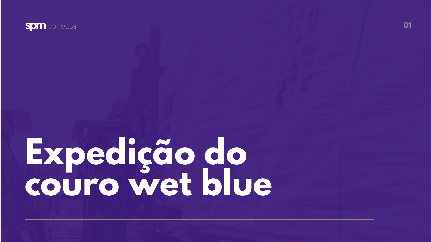 Expedição do couro Wet Blue