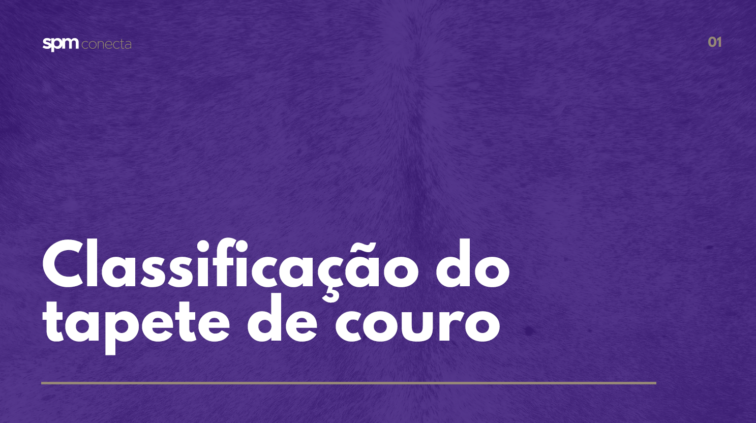 Classificação dos Tapetes de couro
