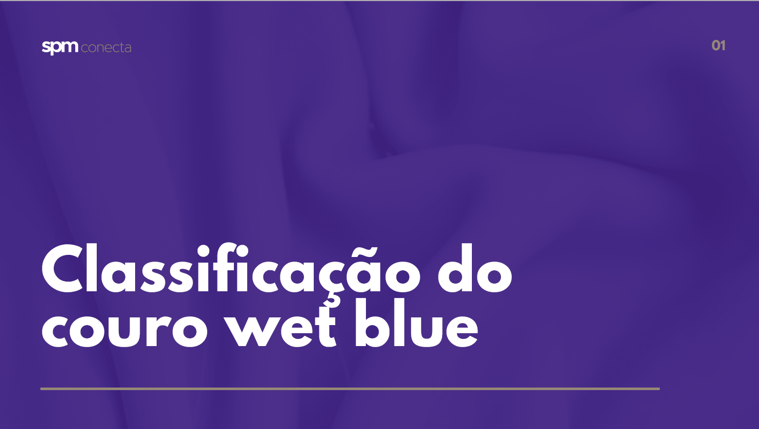 Classificação do Wet Blue